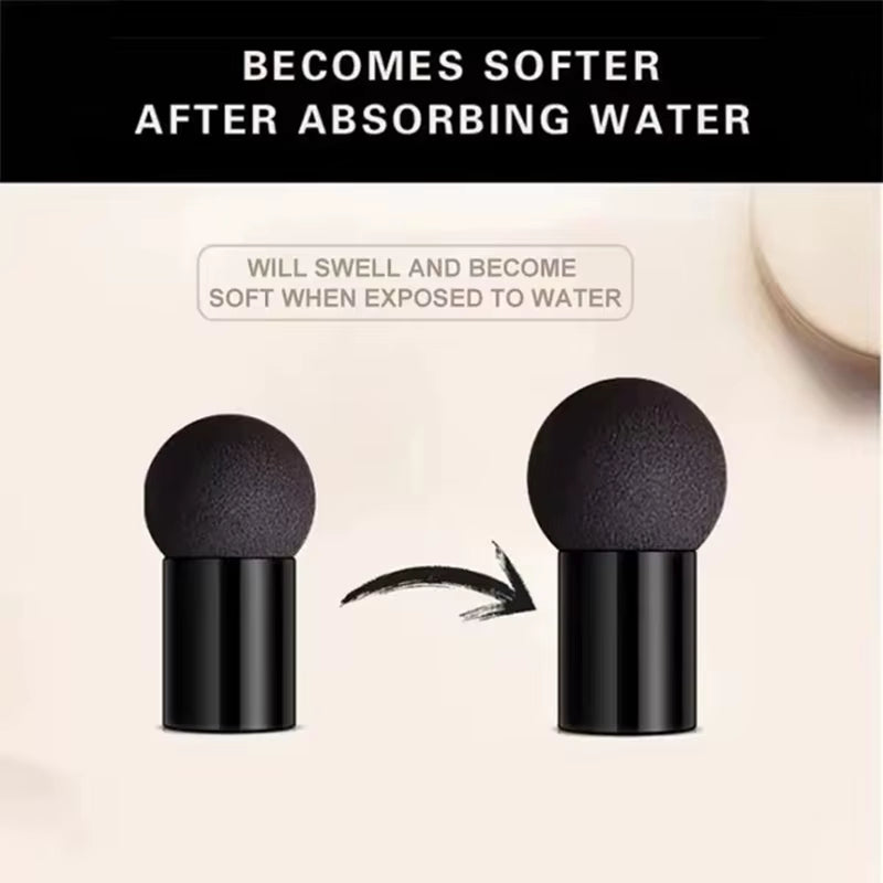 Mushroom Head Air Cushion CC Cream Foundation Concealer Oil-Control BB Cream Whitening Face Base Makeup Cosmetics Moisturizing
